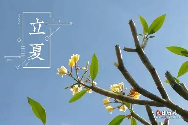 立夏吃什么